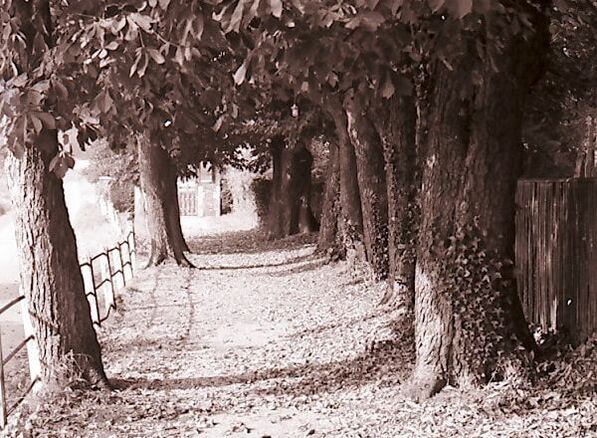 Robert Dimsdale Part I Boyhood Memories