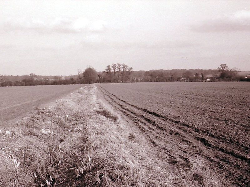 Robert Dimsdale Part II Boyhood Memories