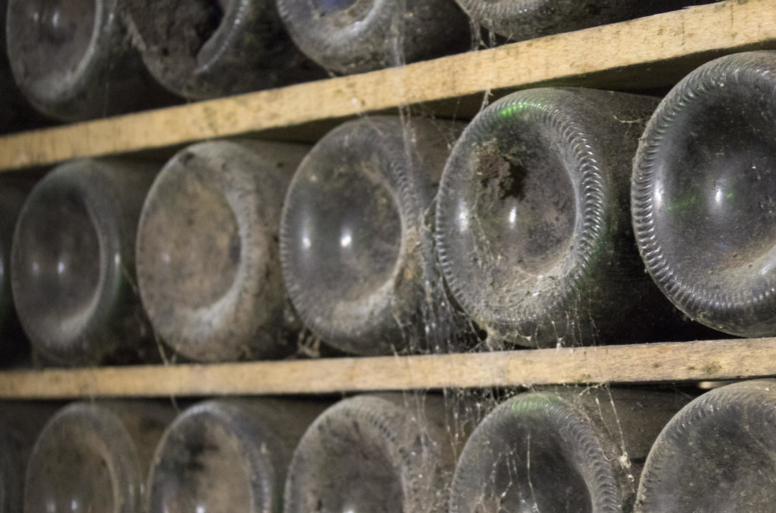 Newsells Estate in Barkway - PART ll