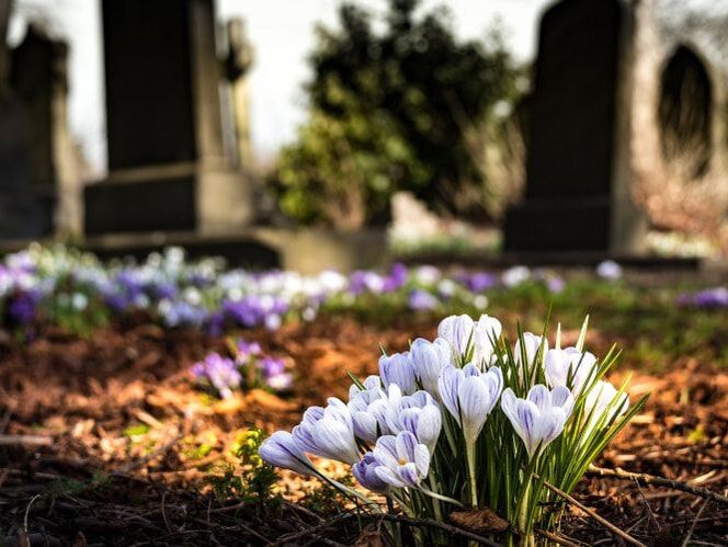 Royston Road Old Chapel Site