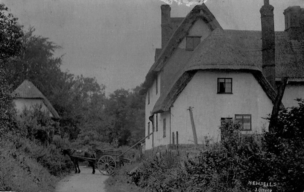 Oral history archives: Peggy Turpin (1924–2014).