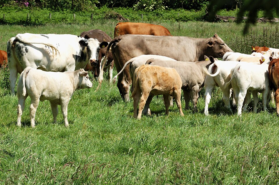 In Conversation with ... 2PM. Barkway Social Club, 4 Cambridge Rd, Barkway, SG8 8BS