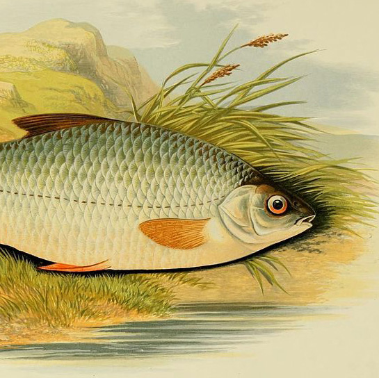 Some recorded memories of Bill Nottage, taken from a 2006 interview